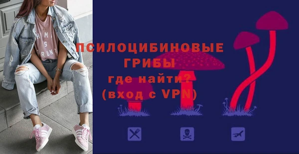 прущие крисы Балахна